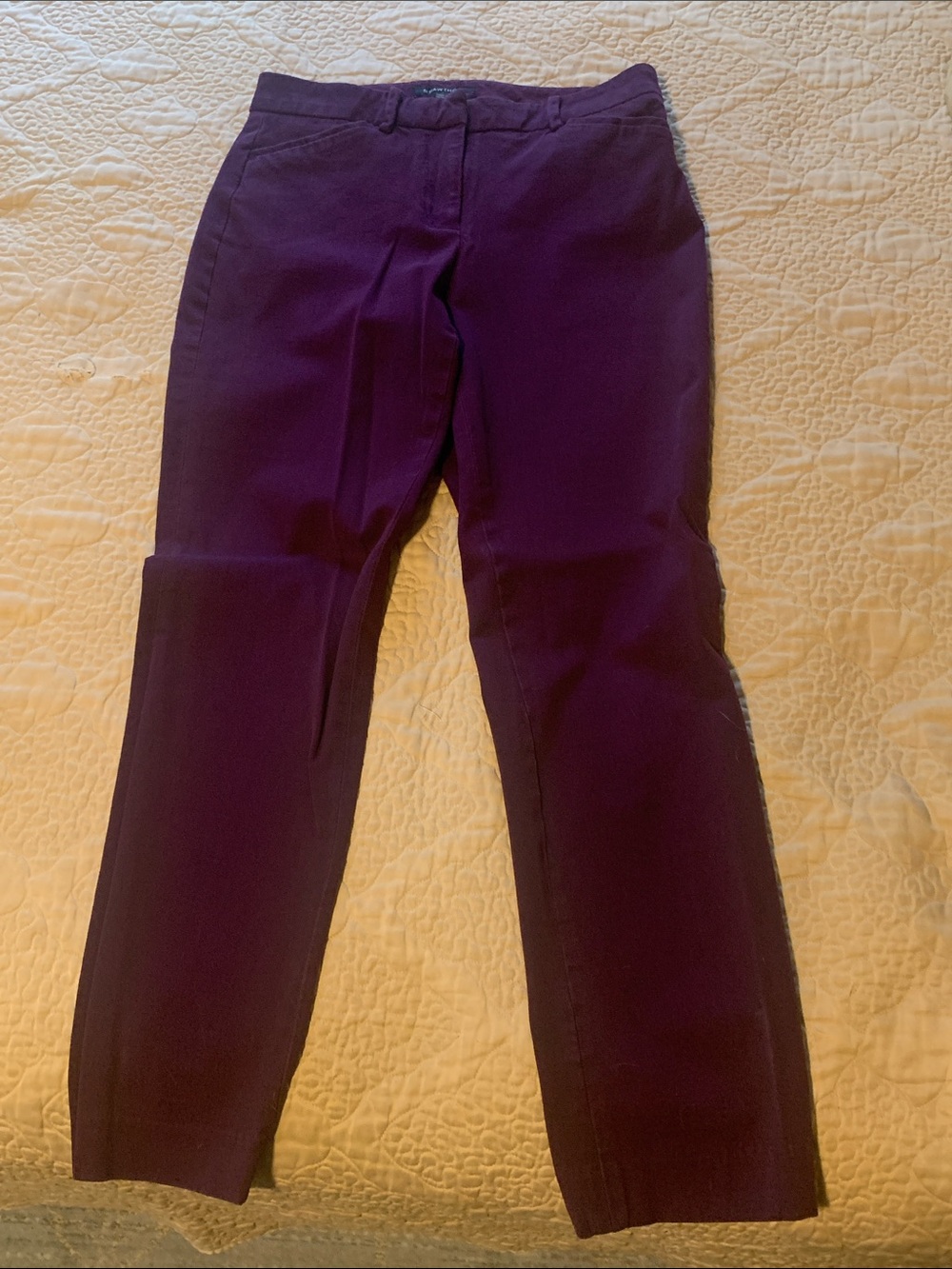 41 Hawthorn Straight Leg Pants in Deep Purple